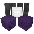 Auralex Acoustics Deluxe Plus Roominator Purple Deluxe Plus Roominator Purple